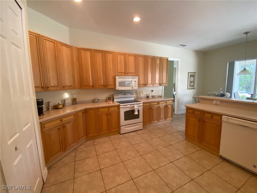 9623 Springlake Circle Estero FL 33928 225036610 image12