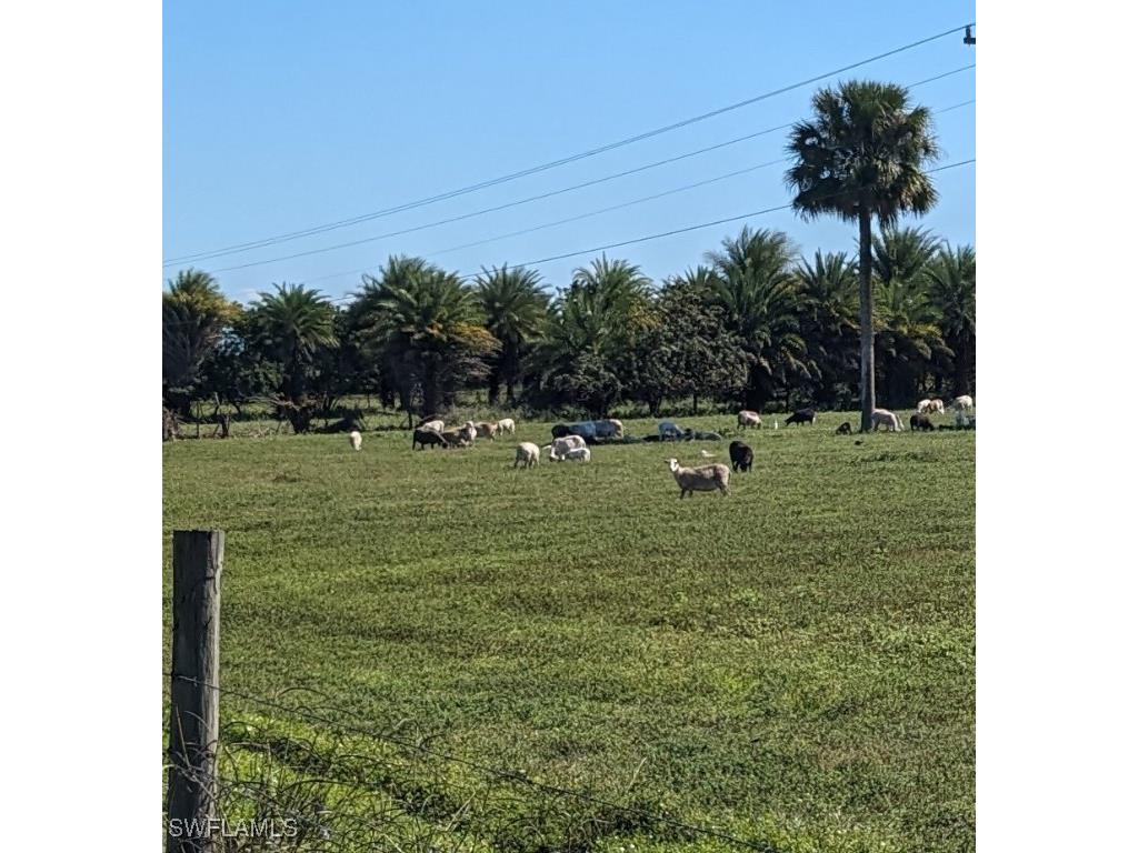 9993 W Us Highway 27 Clewiston FL 33440 224103244 image2