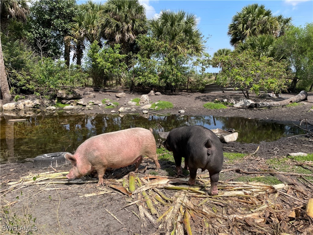 9993 W Us Highway 27 Clewiston FL 33440 224103244 image21