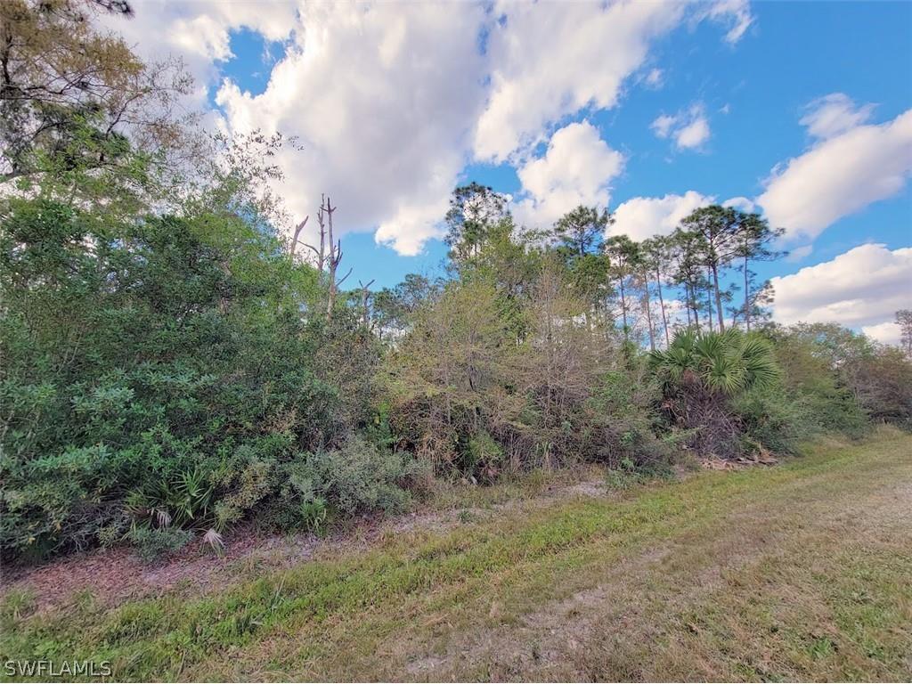 Lot #1 Pioneer 4th Street Clewiston FL 33440 223009026 image1
