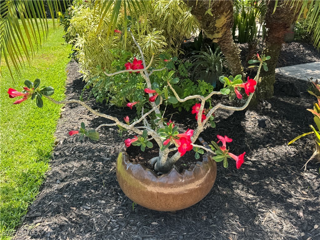 Lot 209 3024 Belle Of Myers Road Labelle FL 33935 225039394 image34