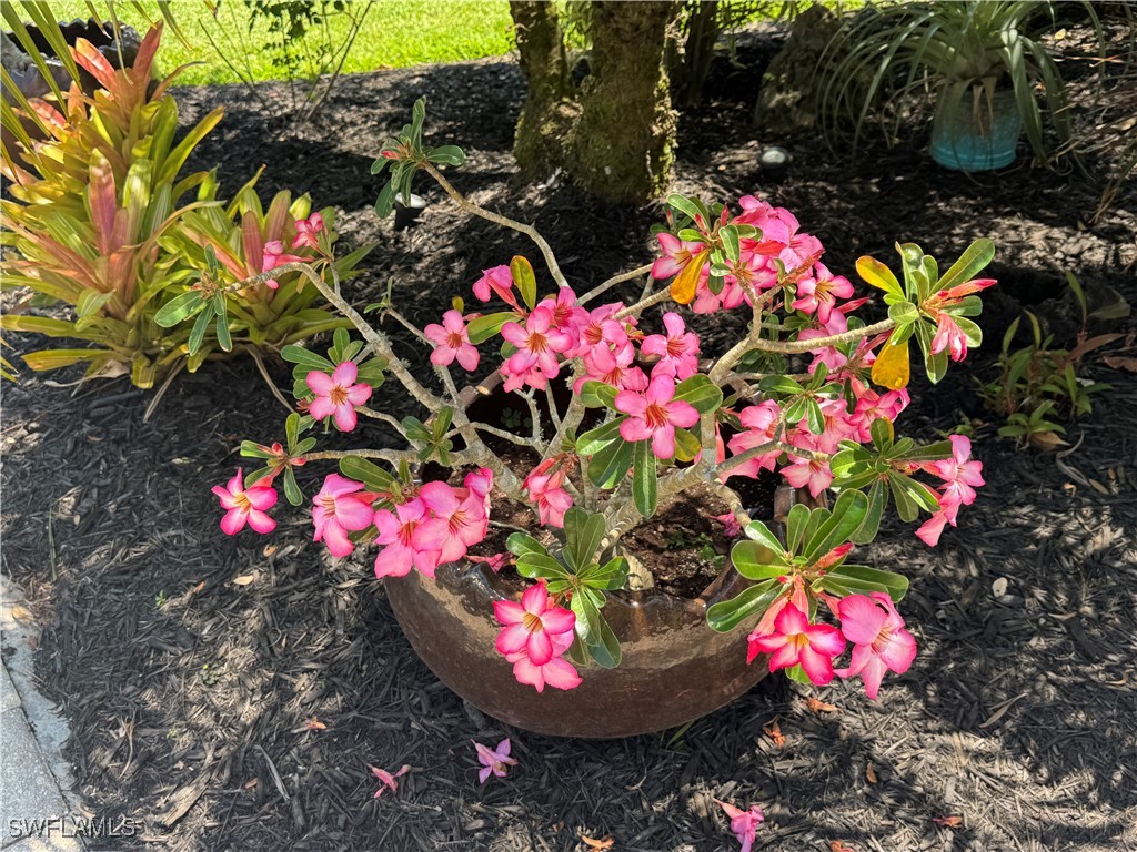 Lot 209 3024 Belle Of Myers Road Labelle FL 33935 225039394 image35