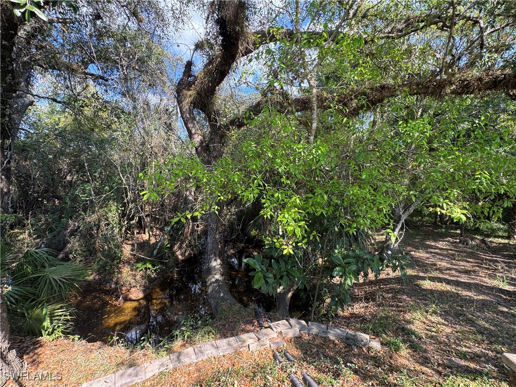 Lot 227 3057 Belle Of Myers Road Labelle FL 33935 225015590 image21