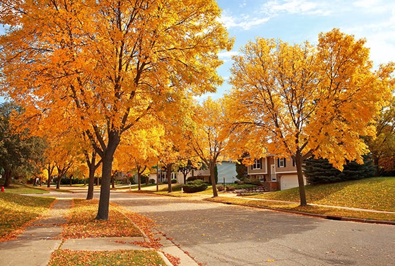 Fall home buying tips