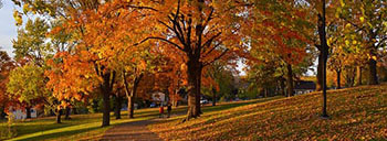 Fall foliage in Waite Park