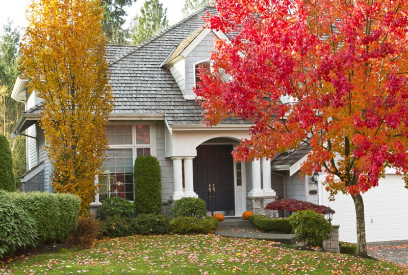 Exterior of a home during the Autumn