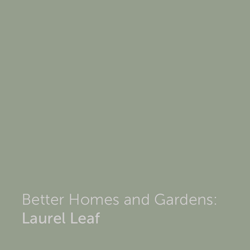 Better Homes and Gardens Laurel Leaf