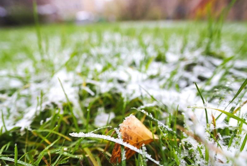 Essential spring lawn care tips after a harsh winter