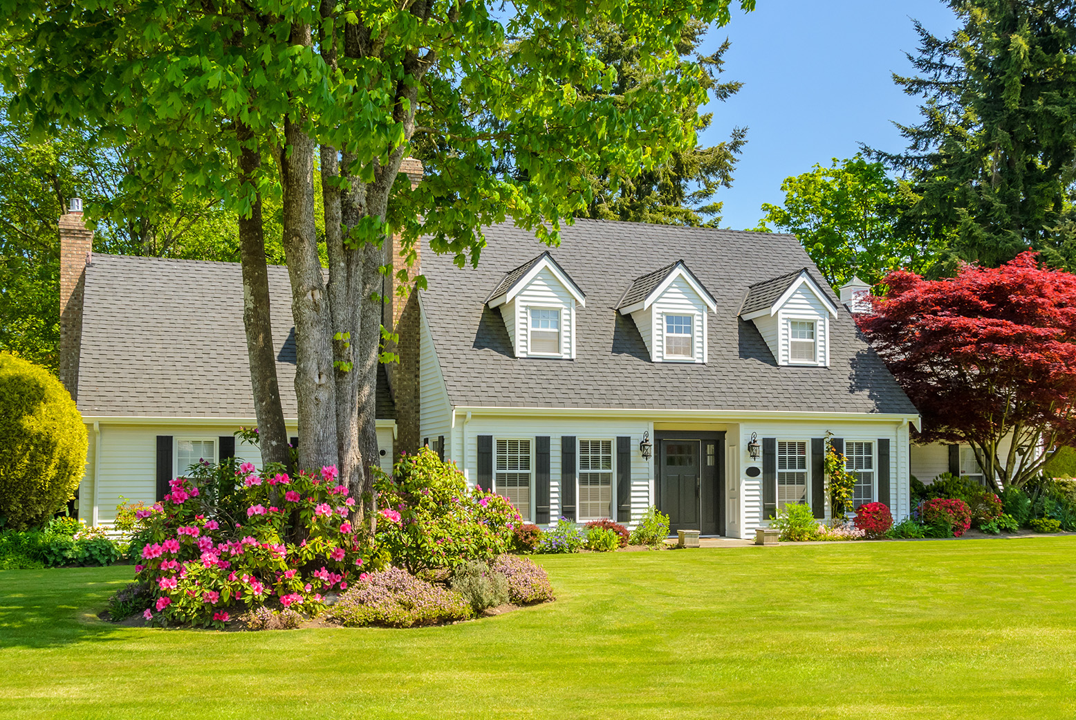 June 2025 Market Insights