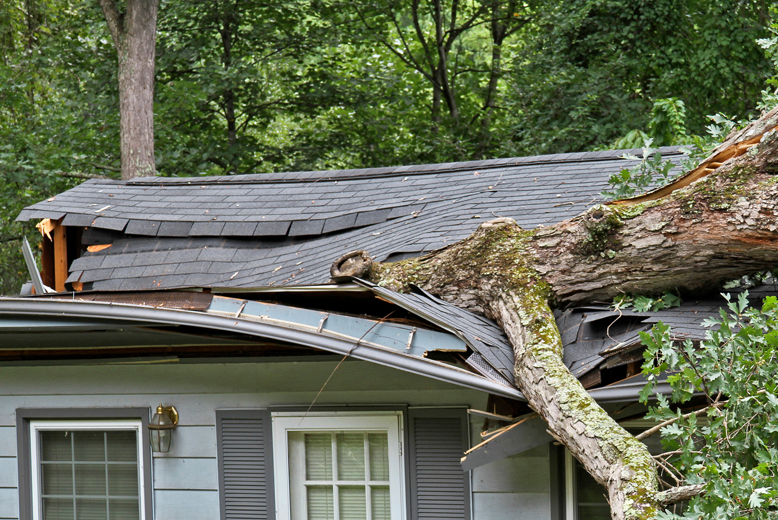 storm damage